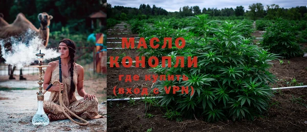 прущая мука Вяземский