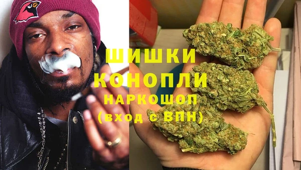 стаф Волосово