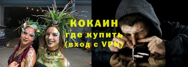 прущая мука Вяземский