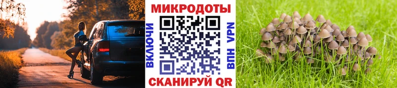 Псилоцибиновые грибы Psilocybe  Владивосток 